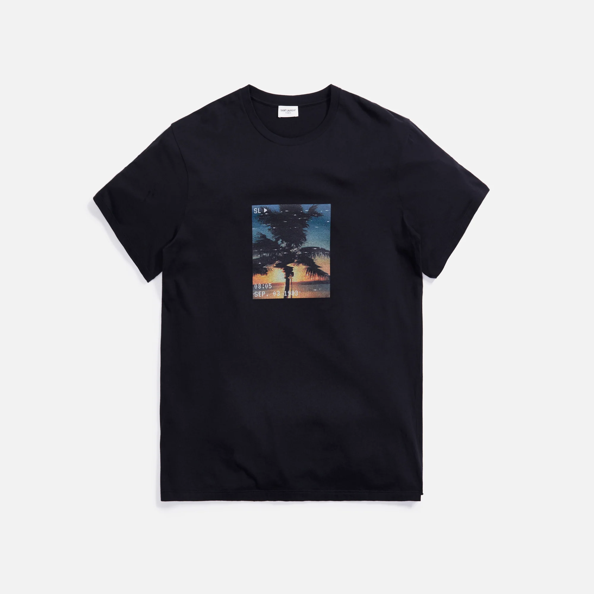 Palm Tree Graphic