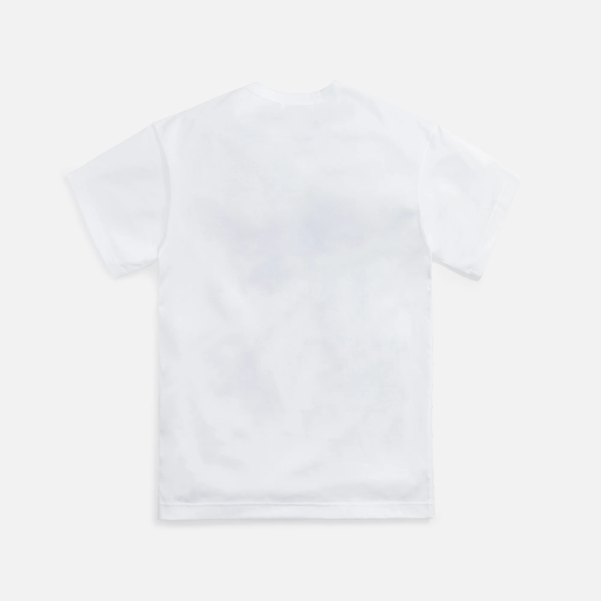 Cotton Jersey Print Tee