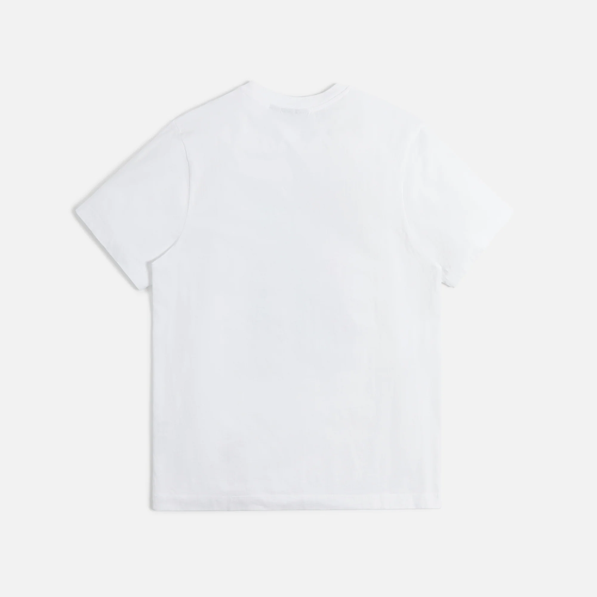 Bird in Hand Tee