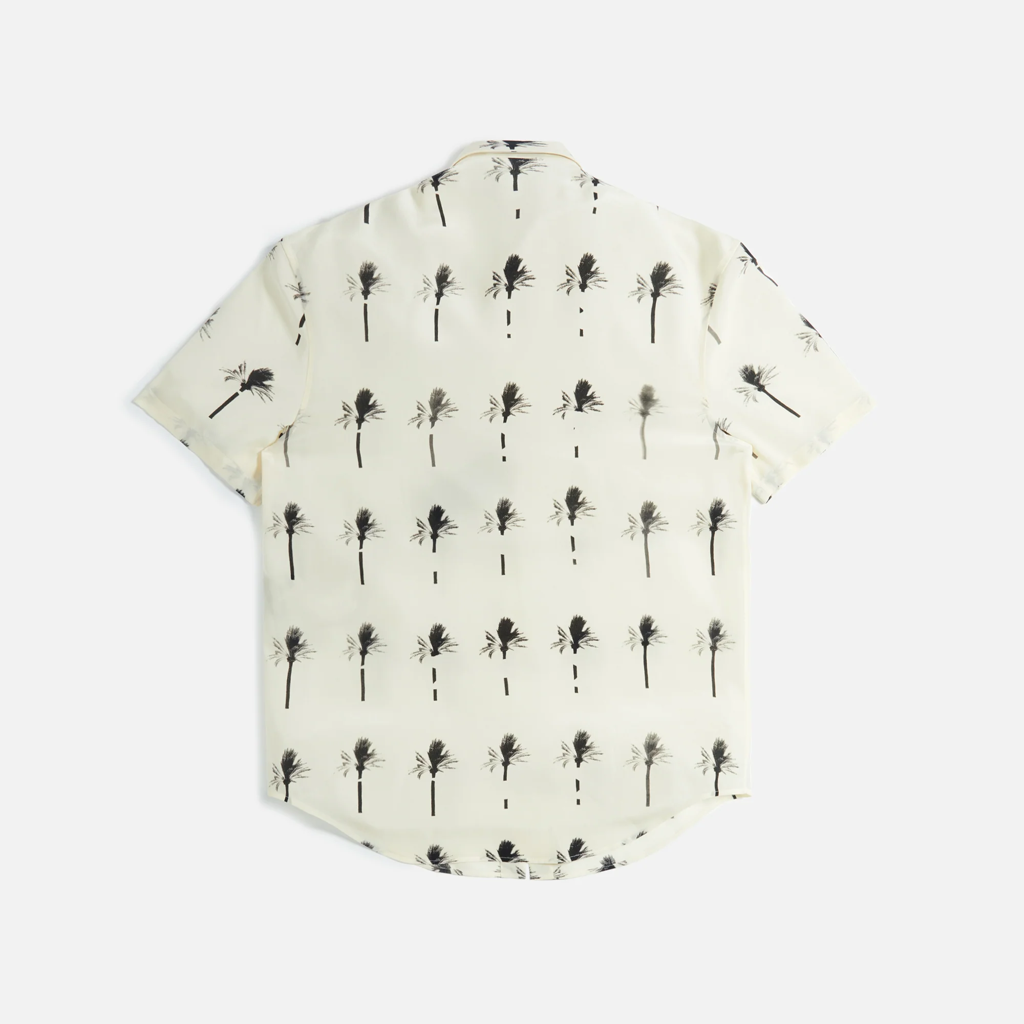 Chemise Manches Cour