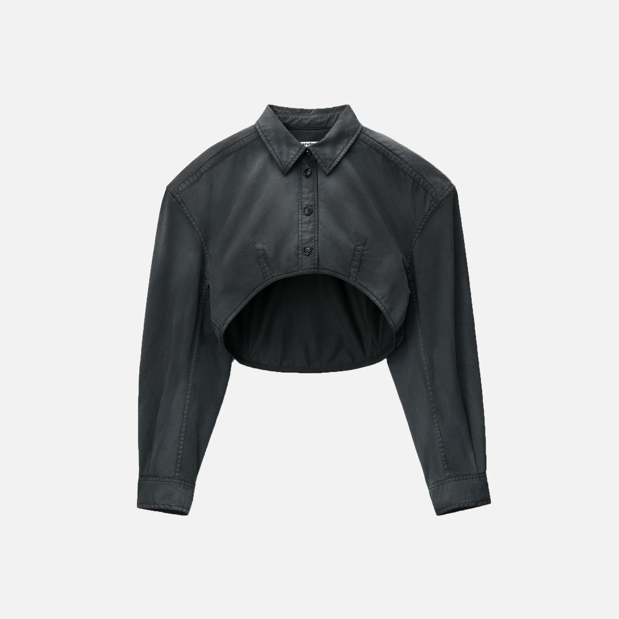 Cropped Long Sleeve Shirt with Dart Detailing
