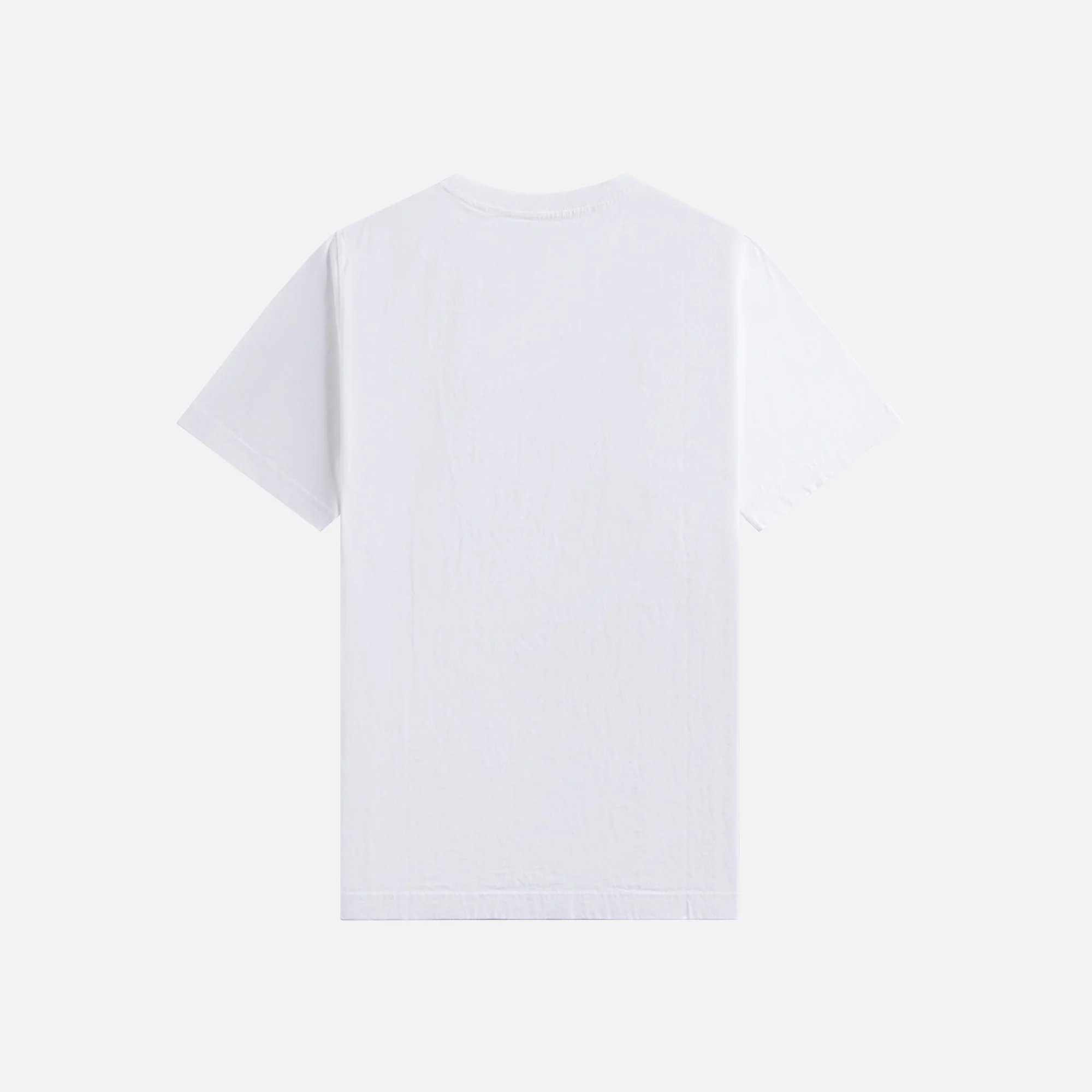 Fossil Dragon Tee