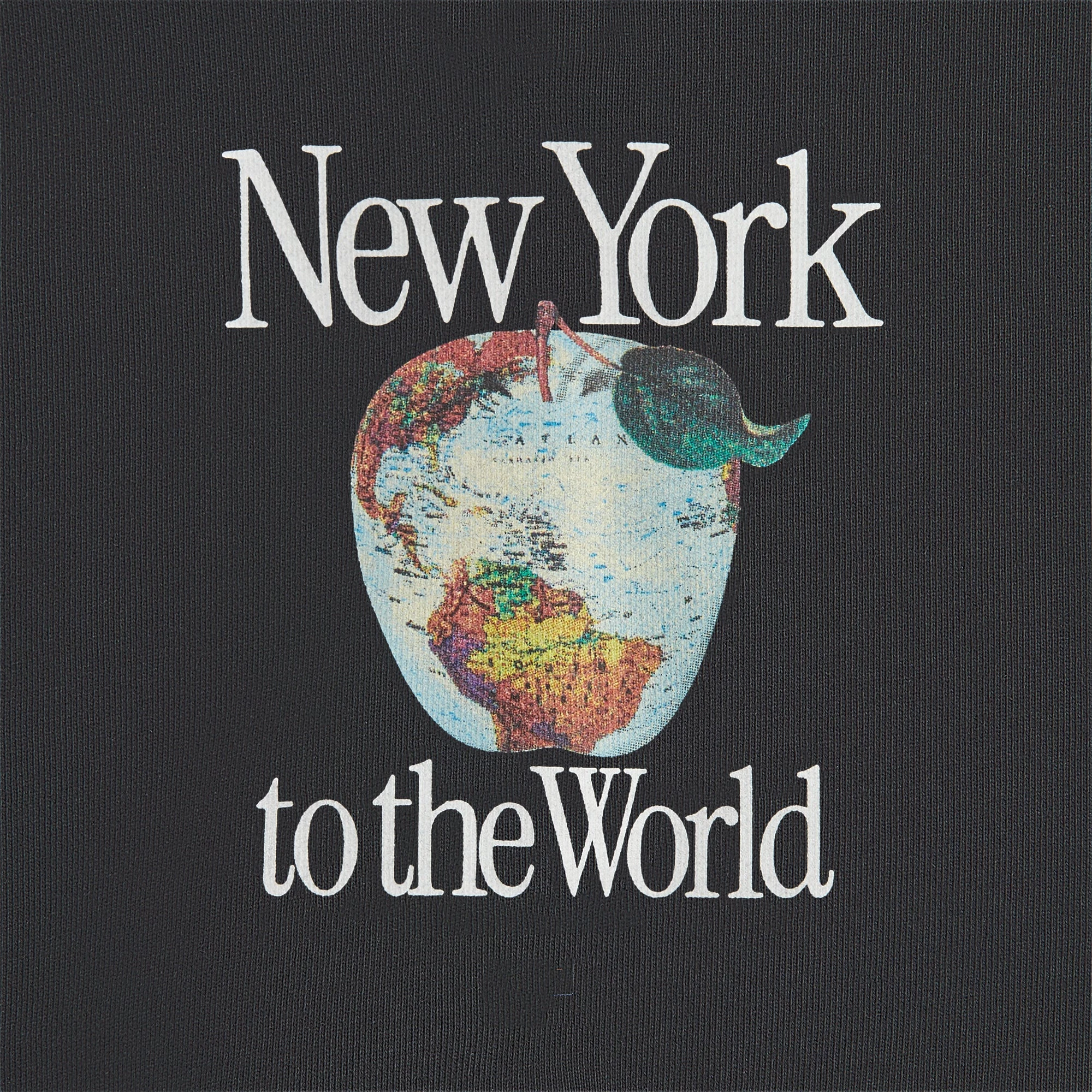 7947-kith-baby-new-york-to-the-world-apple-globe-hoodie-1.webp