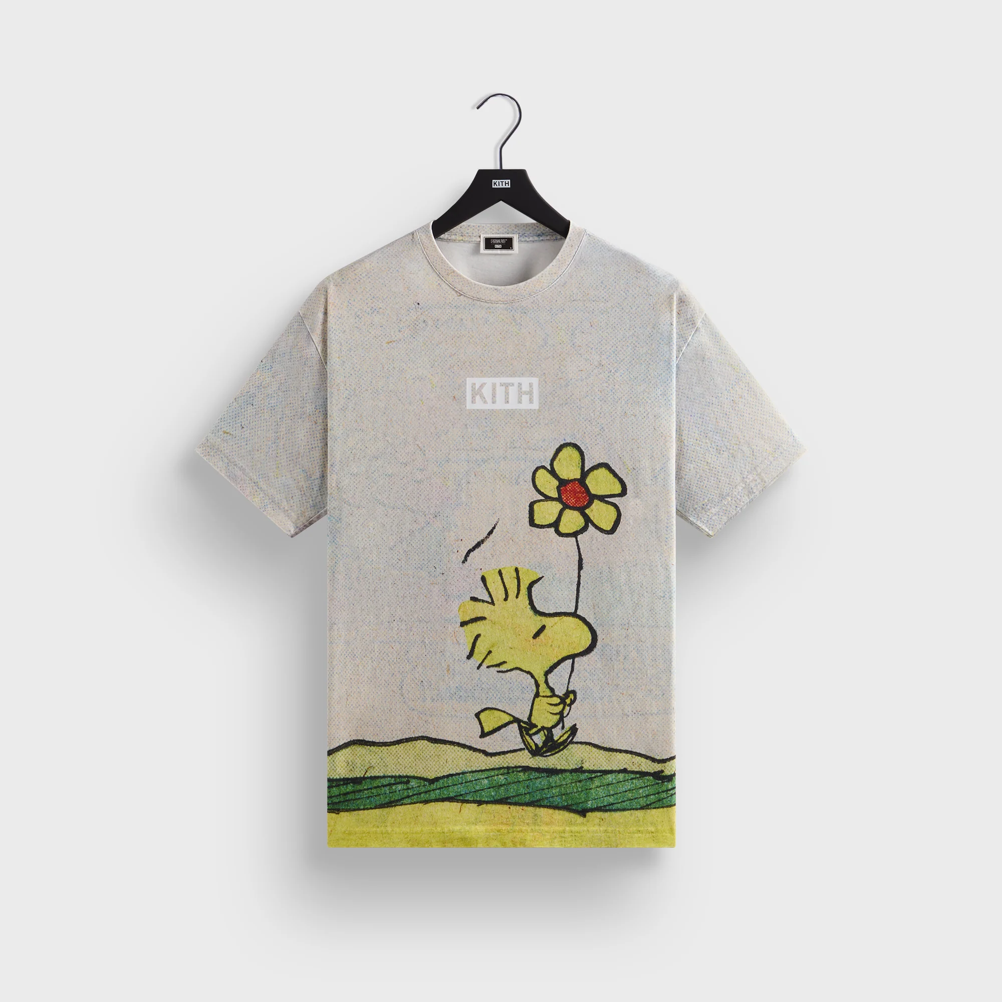 Kith for Peanuts Woodstock Comic Vintage Tee